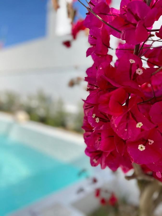 Villa Sal - Alvor Exteriér fotografie